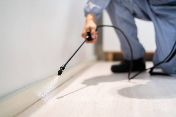 Licensed Pest Control service in Arlington, VA - Show Me Pest Control