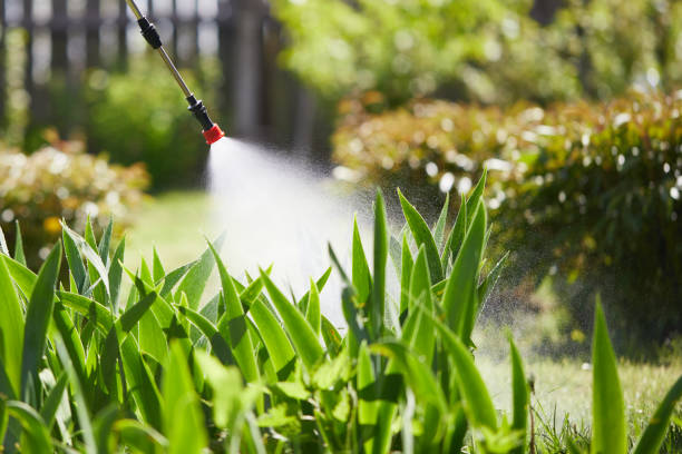 24/7 Emergency Ant Control experts in Arlington, VA