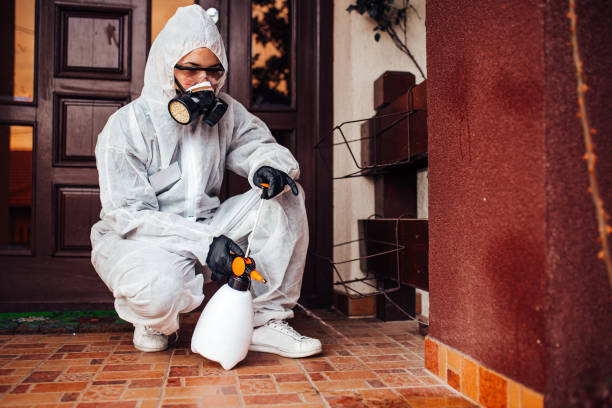 Reliable Ant Control contractor in Arlington, VA by Show Me Pest Control